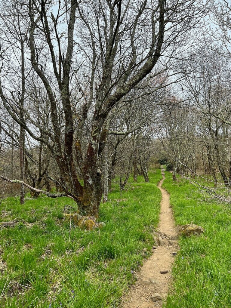 hiking the appalachian trail Hiking the AT