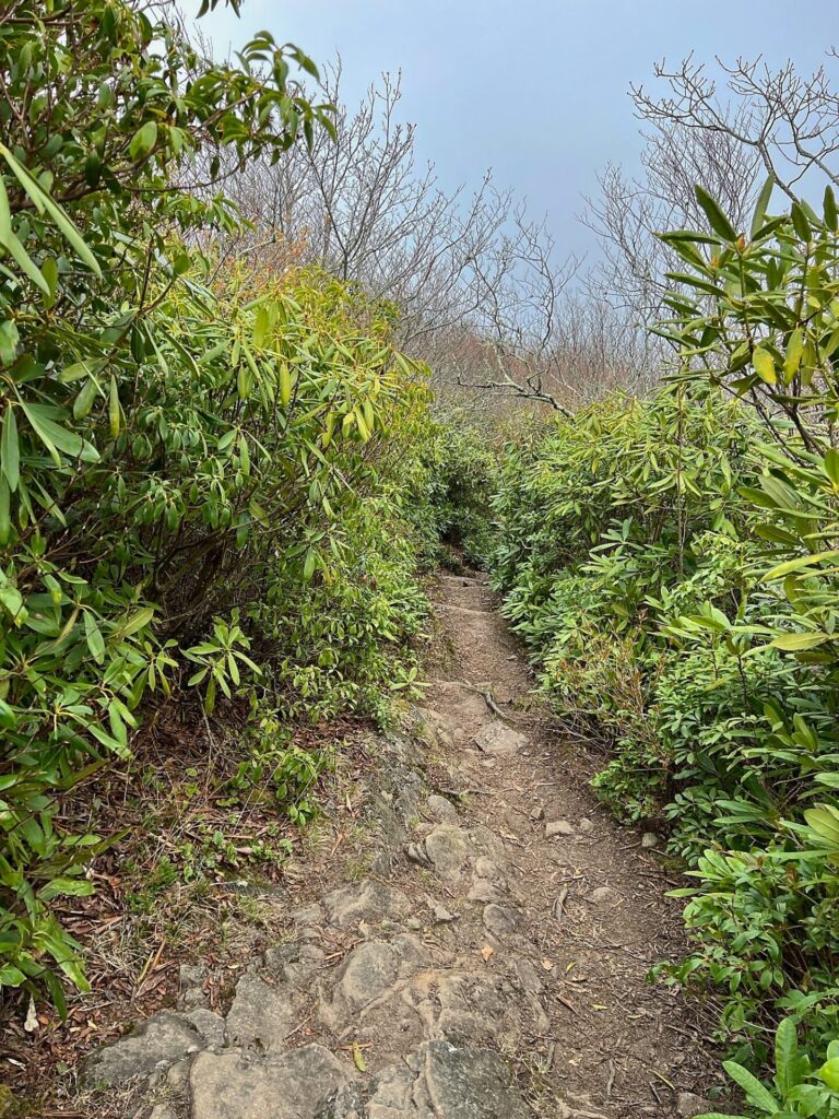 hiking the appalachian trail Hiking the AT
