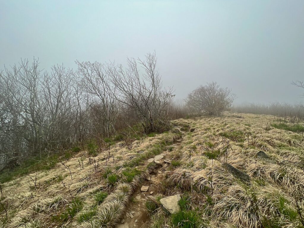 hiking the appalachian trail Hiking the AT