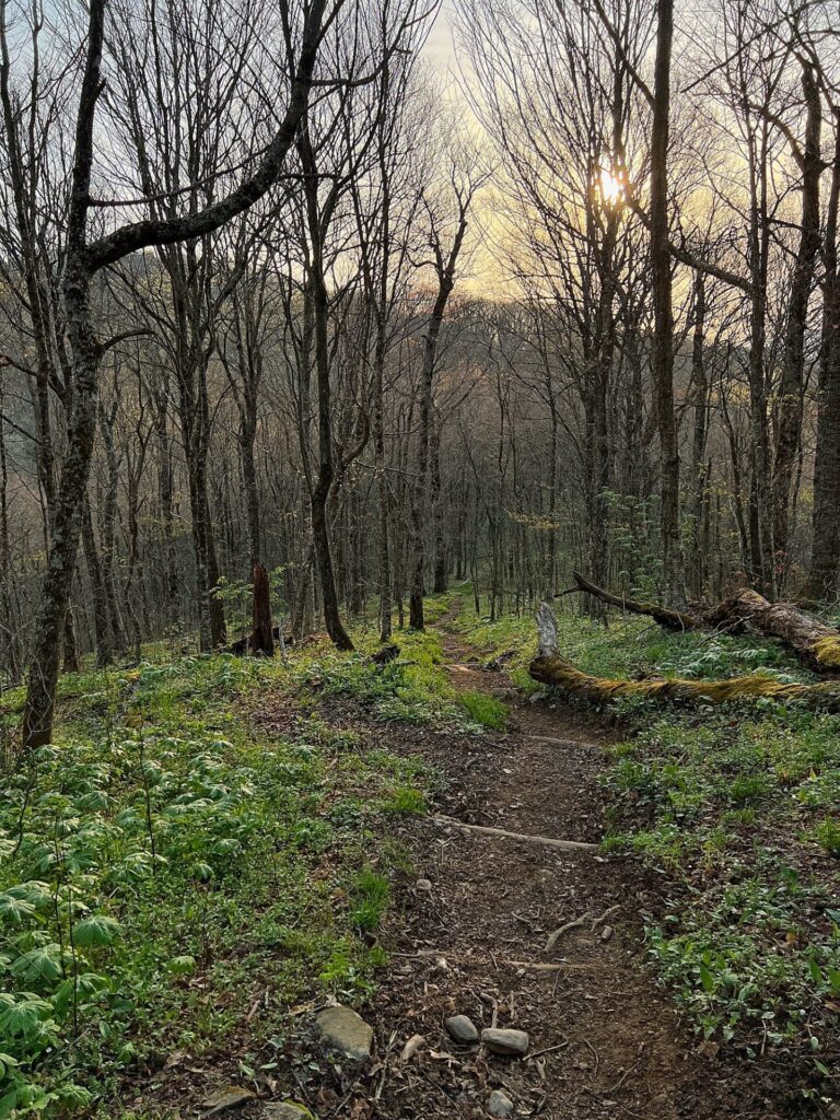 hiking the appalachian trail Hiking the AT