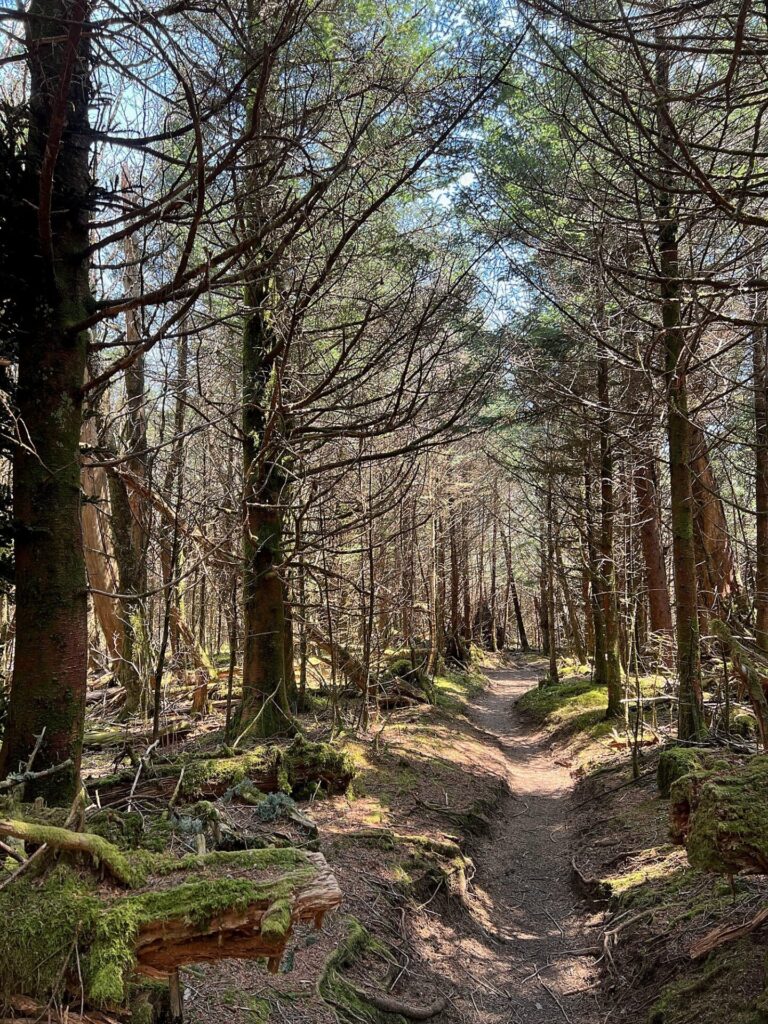 hiking the appalachian trail Hiking the AT