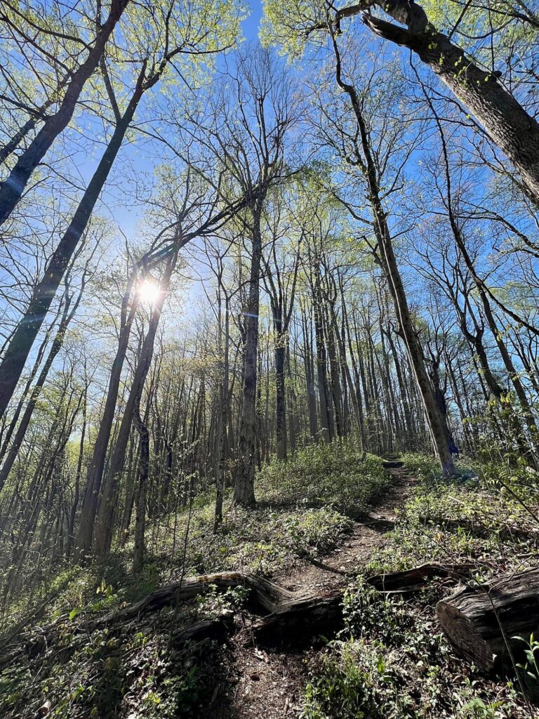 hiking the appalachian trail The Appalachian Trail