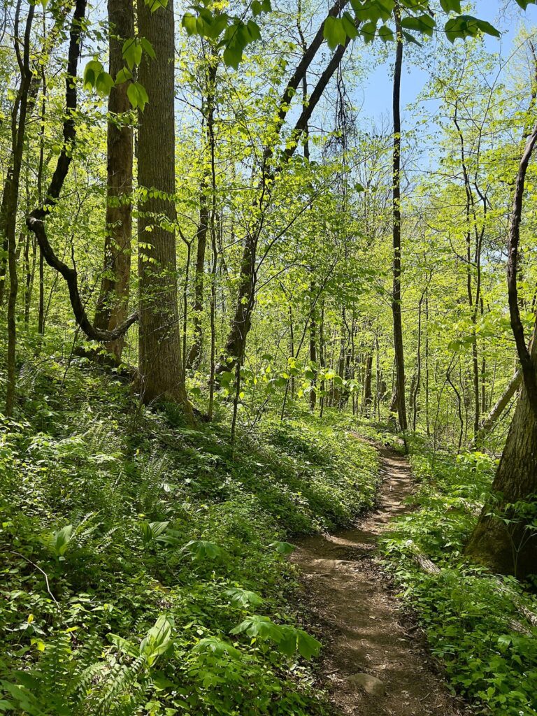 hiking the appalachian trail Hiking the Appalachian Trail