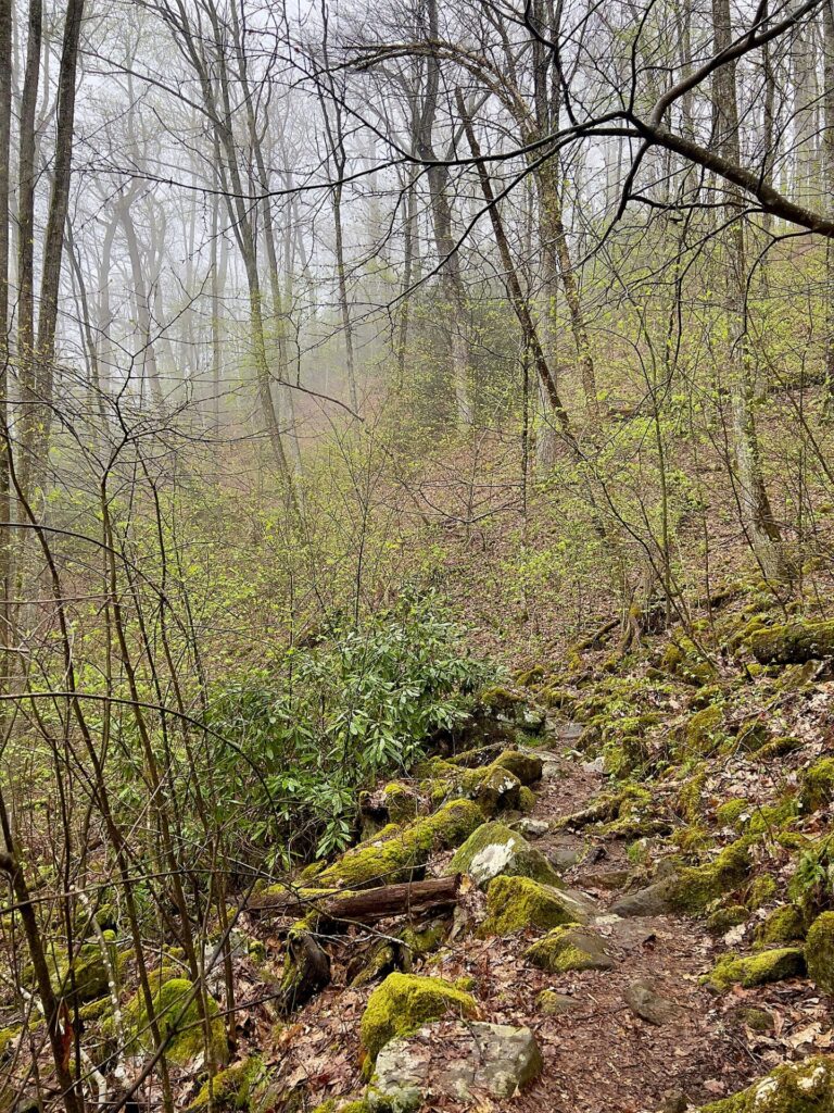 hiking the appalachian trail Hking the Appalachian Trail