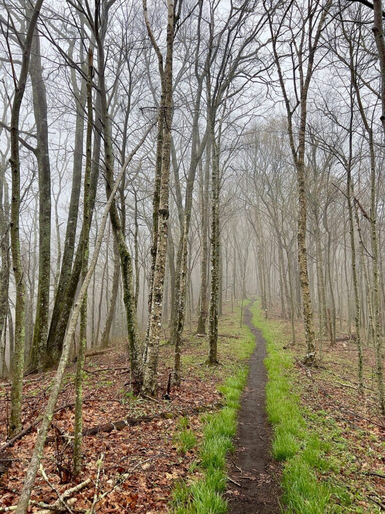 hiking the appalachian trail Hiking the Appalachian Trail