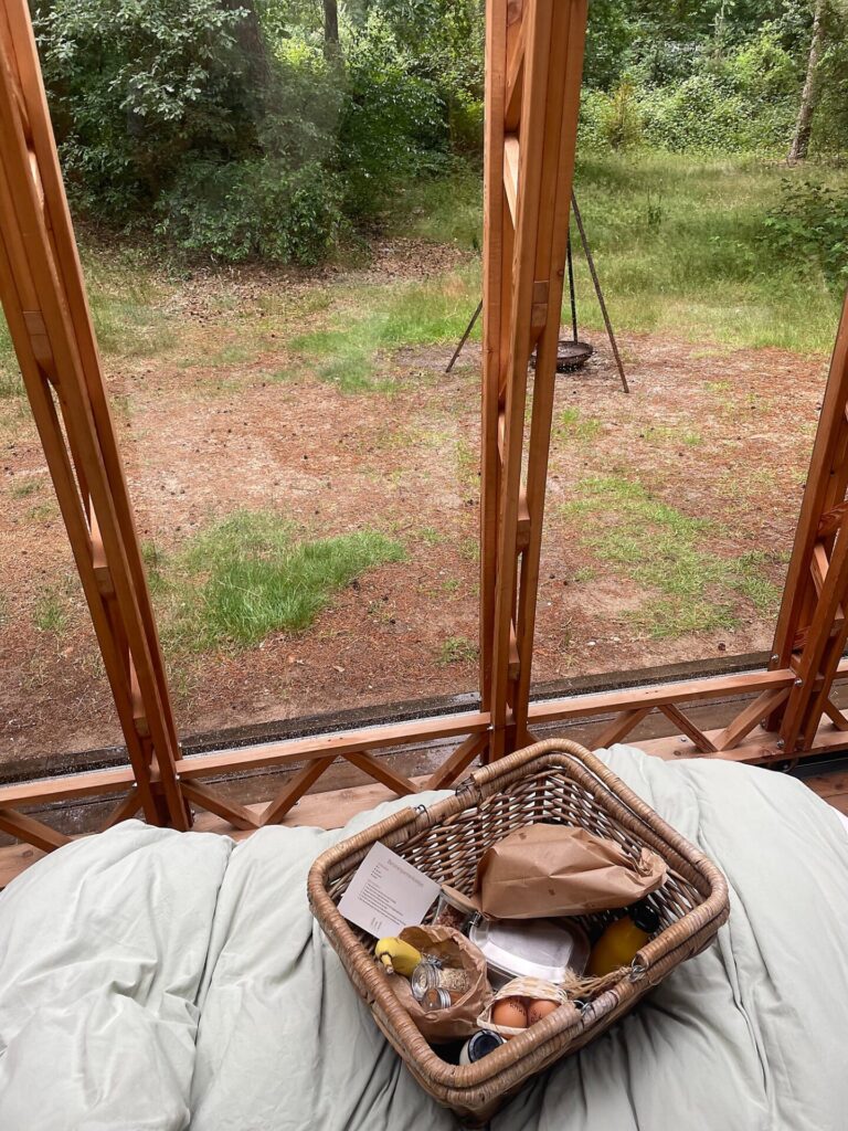 picnic basket delivery
