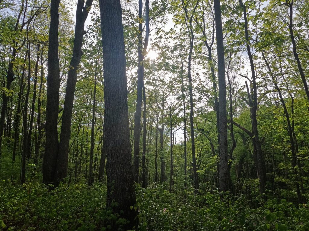 hiking the appalachian trail