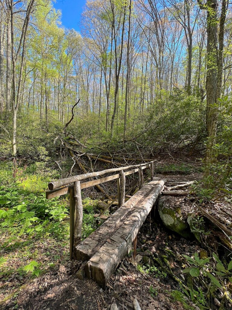 hiking the appalachian trail
