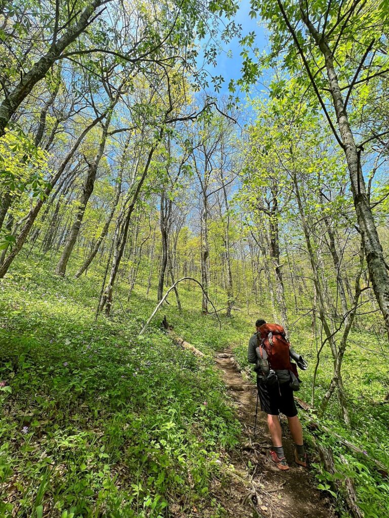 hiking the appalachian trail