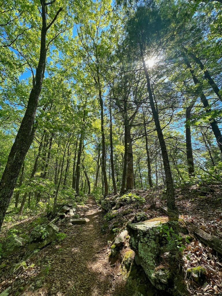 hiking the appalachian trail