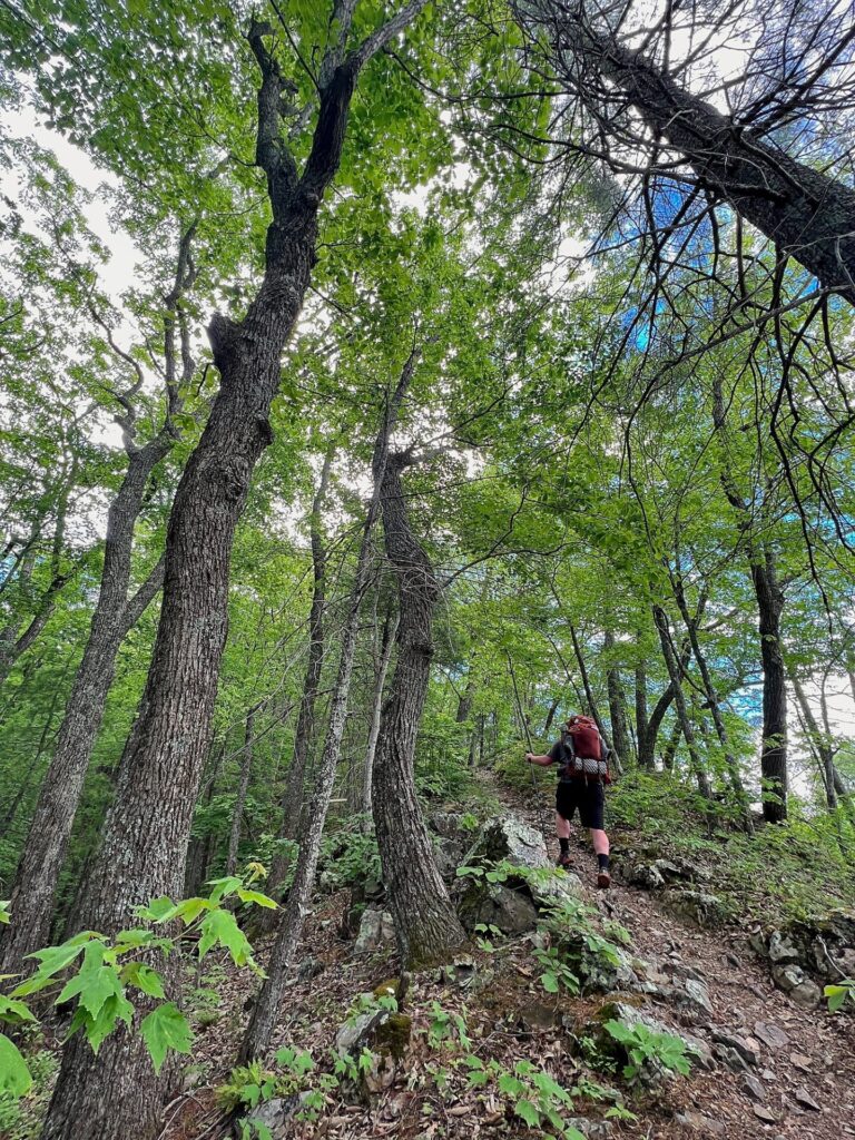 hiking the appalachian trail