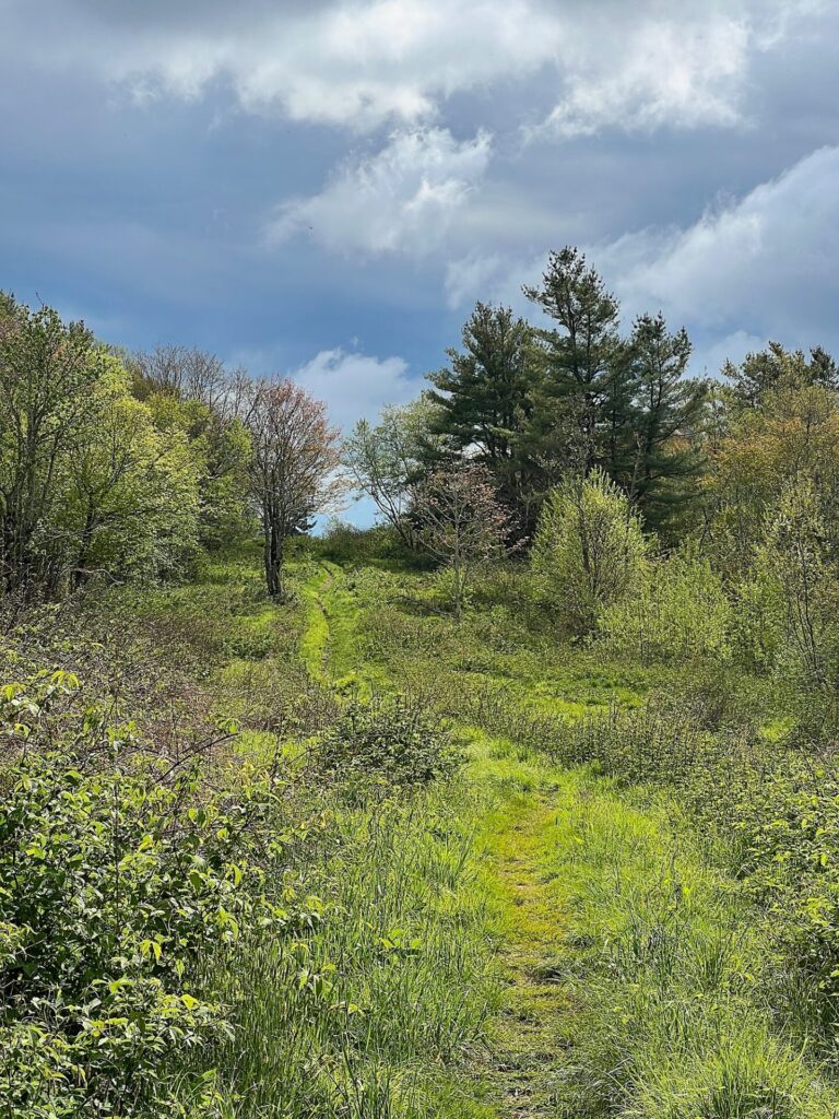 hiking the appalachian trail