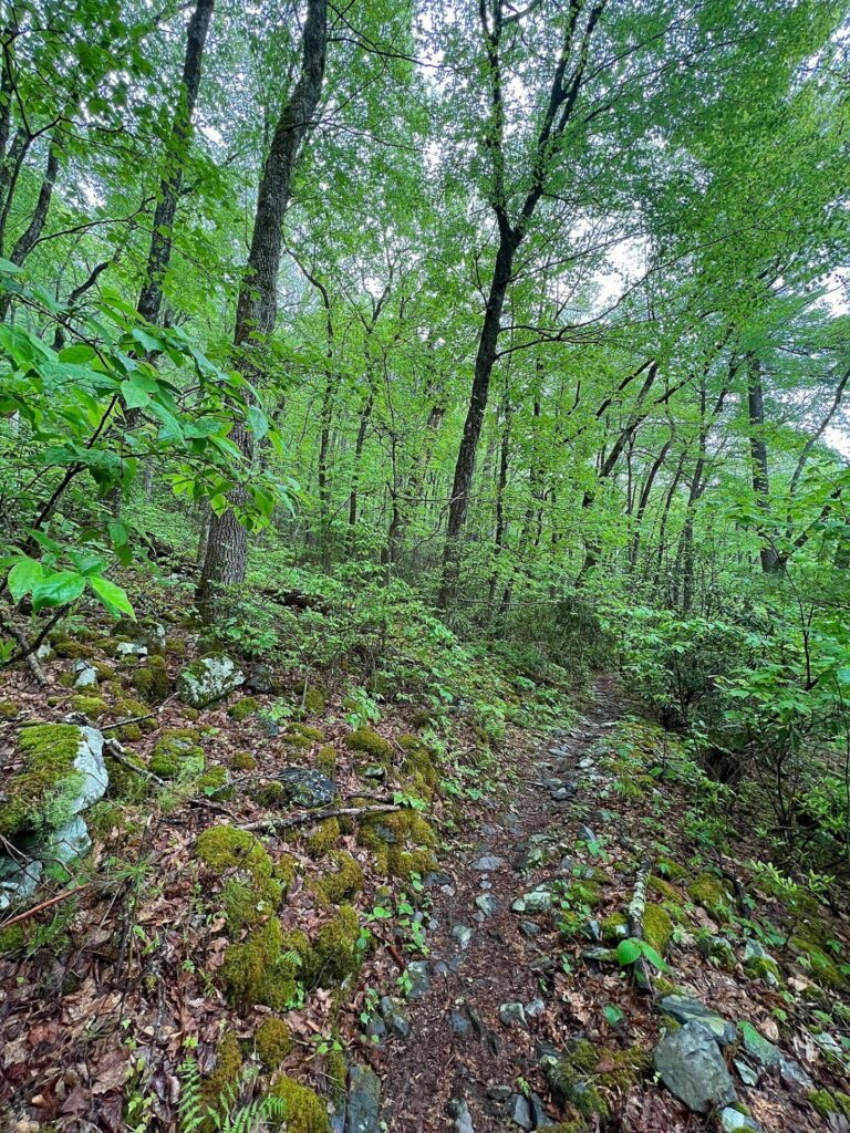 hiking the appalachian trail