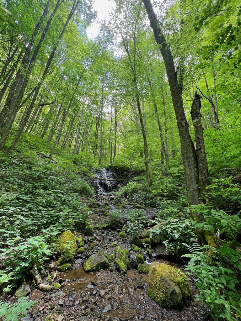 hiking the appalachian trail