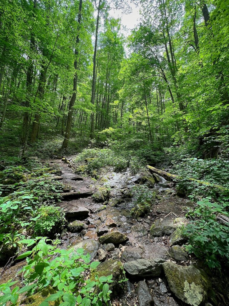 hiking the appalachian trail