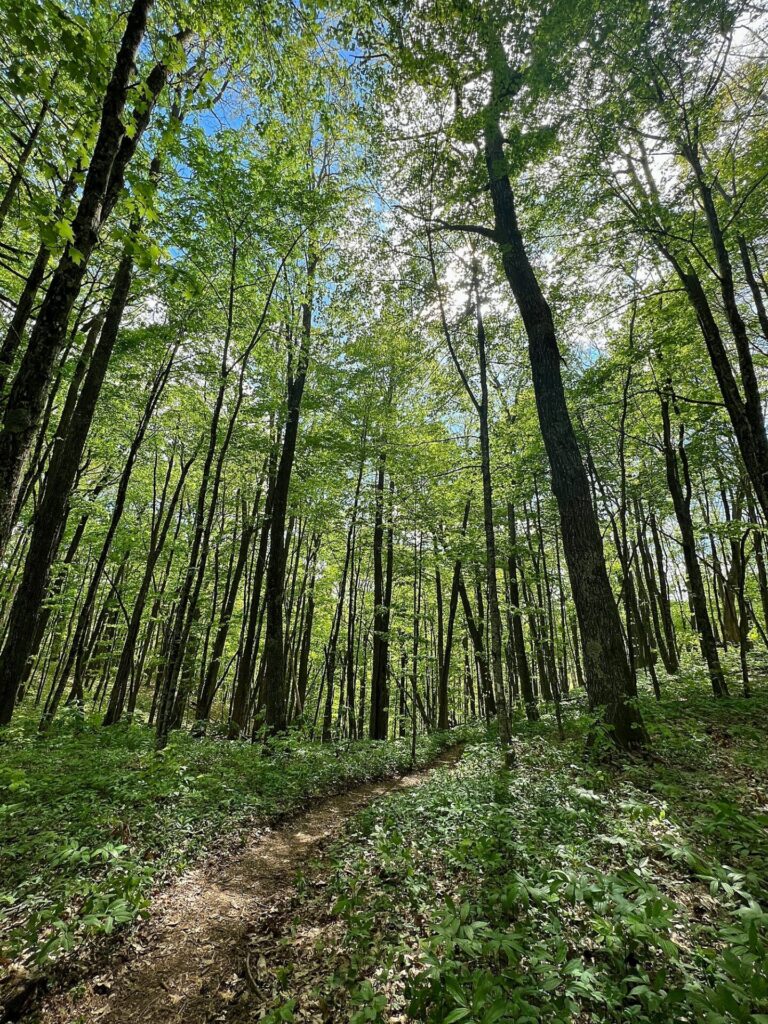 hiking the appalachian trail