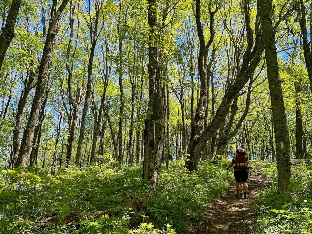 Barrett thru hiking the Appalachian Trail