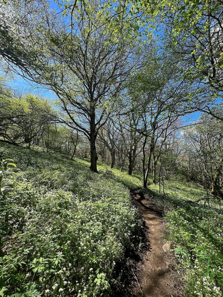 A view on our Appalachian Trail hike