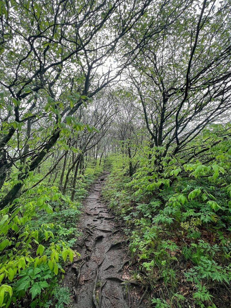 Appalachian Trail Hike