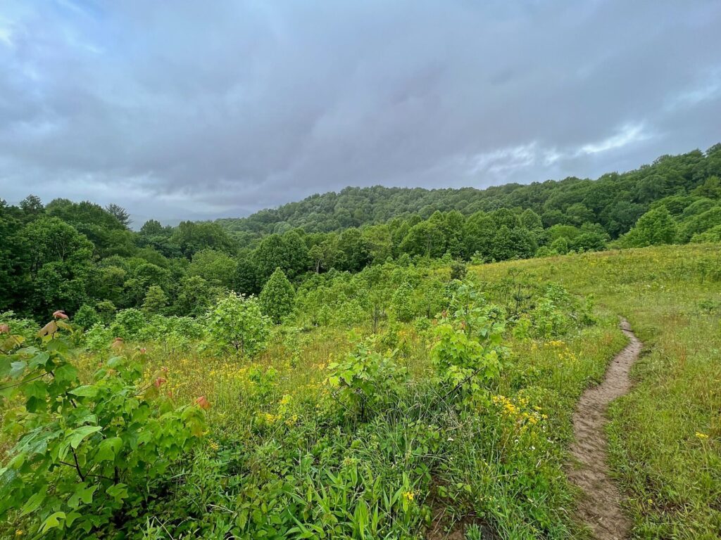Appalachian Trail Hike