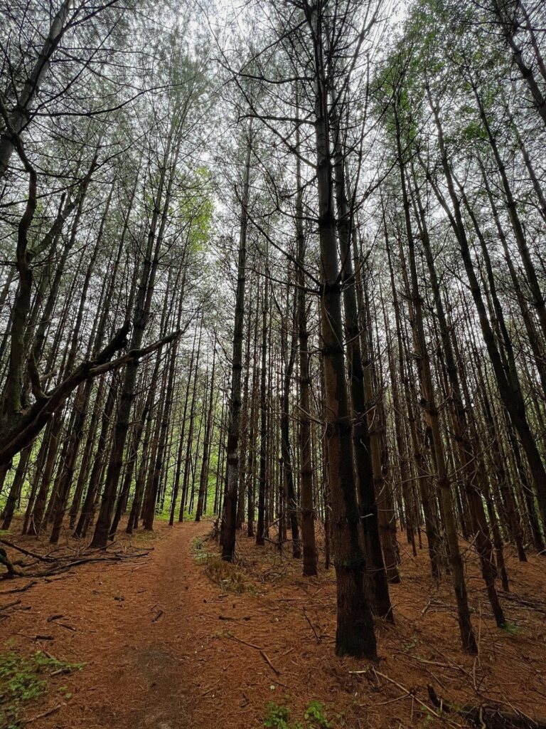 Appalachian Trail Hike