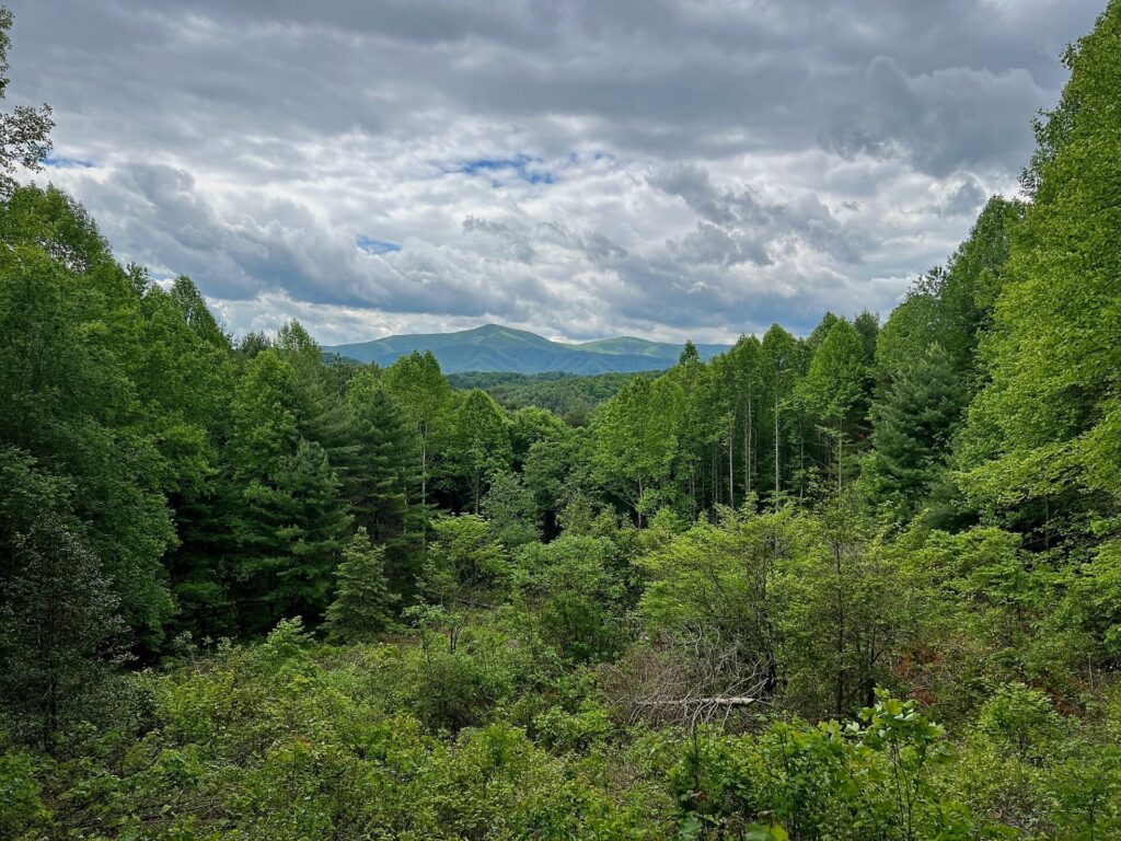 Appalachian Trail Hike