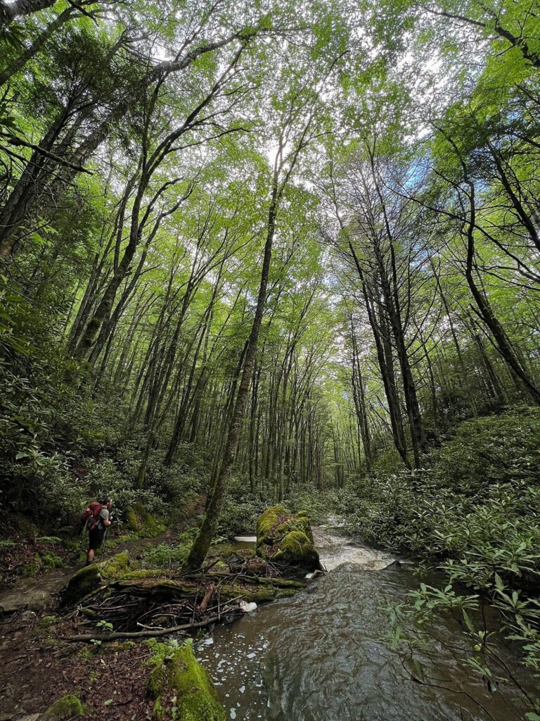 Appalachian Trail Hike
