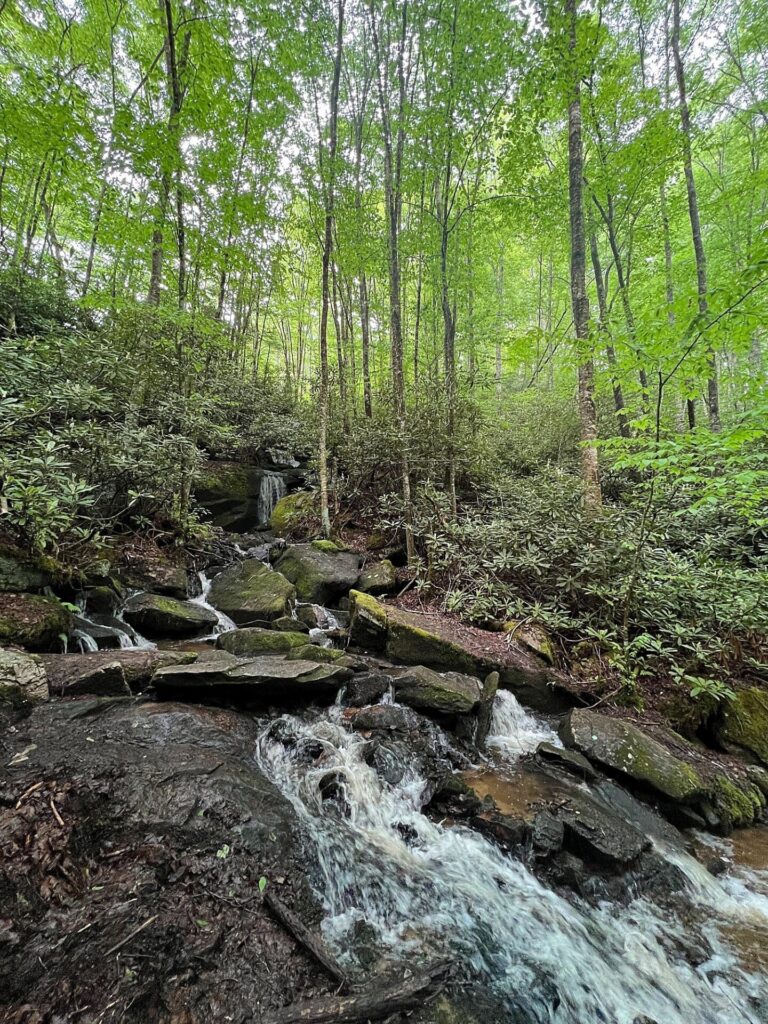 Appalachian Trail Hike