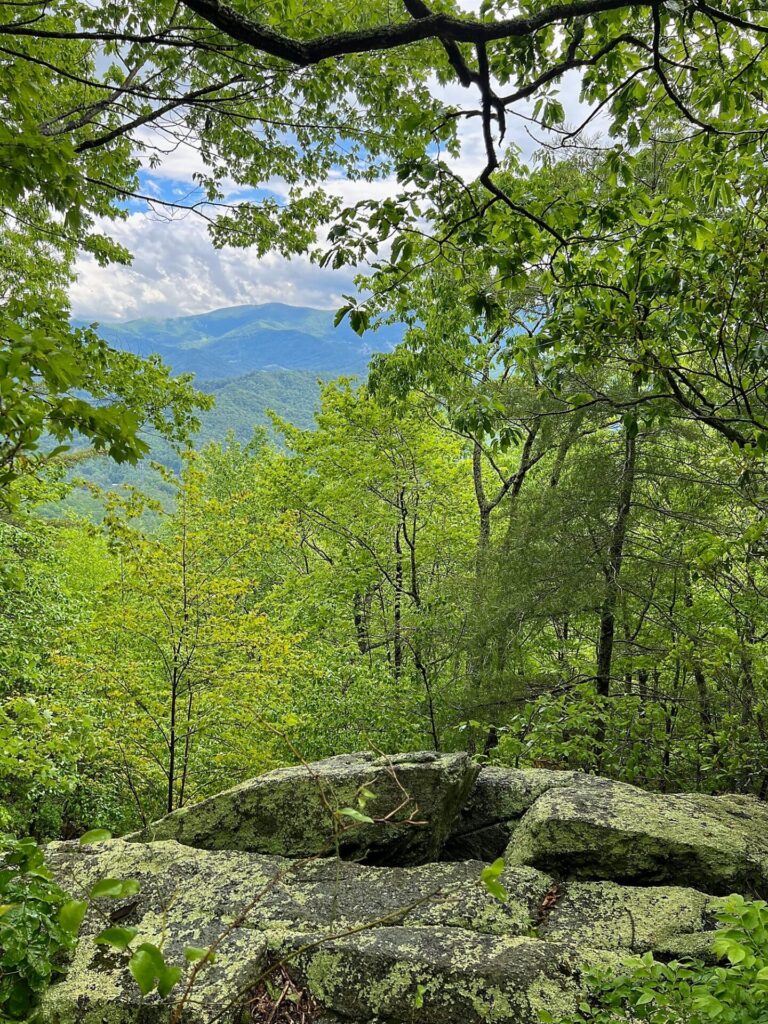 Appalachian Trail Hike