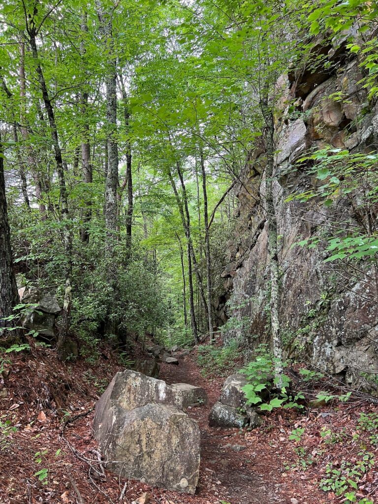 Appalachian Trail Hike