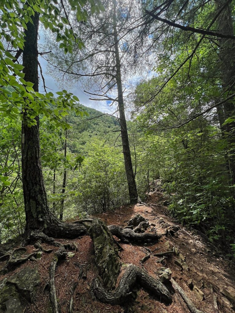 Appalachian Trail Hike The Appalachian Trail