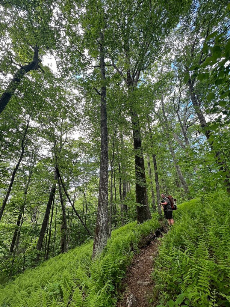 Appalachian Trail Hike A hiker on the Appalachian Trail