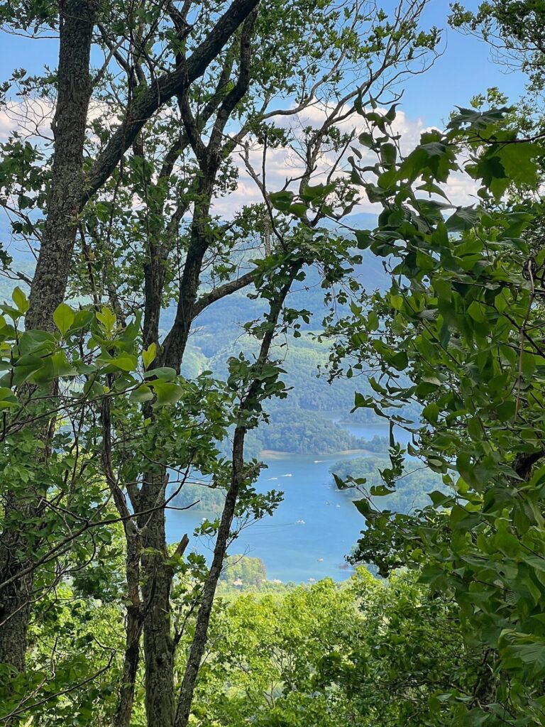 Appalachian Trail Hike Watauga Lake from above