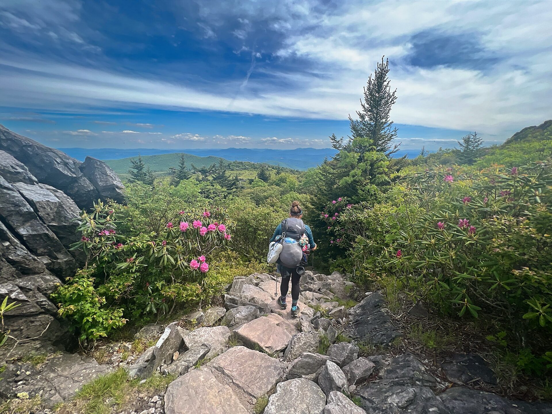 Appalachian Trail Electronics, Navigation & Hygiene Gear: What We Actually Carried 2 IMG 2380 Grayson Highlands on AT