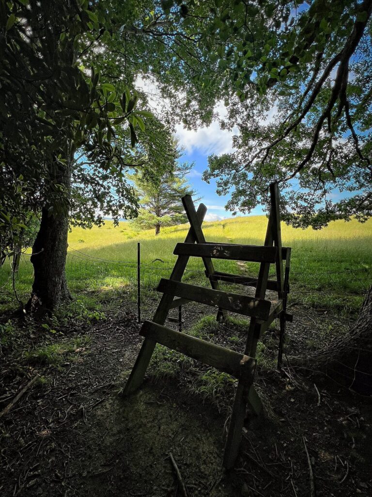 Ladder climbs on the AT