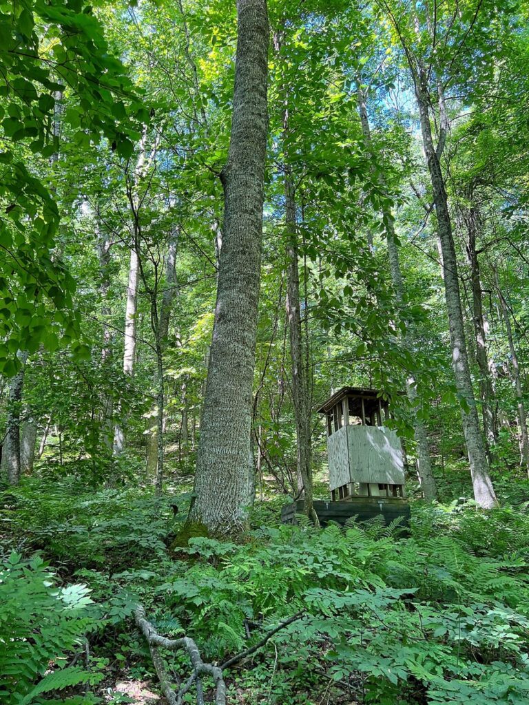 appalachian trail hike A privy on the Appalachian Trail in Virginia