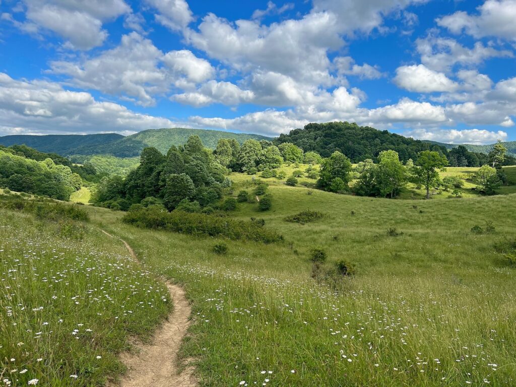 appalachian trail hike The Appalachian Trail in Virginia