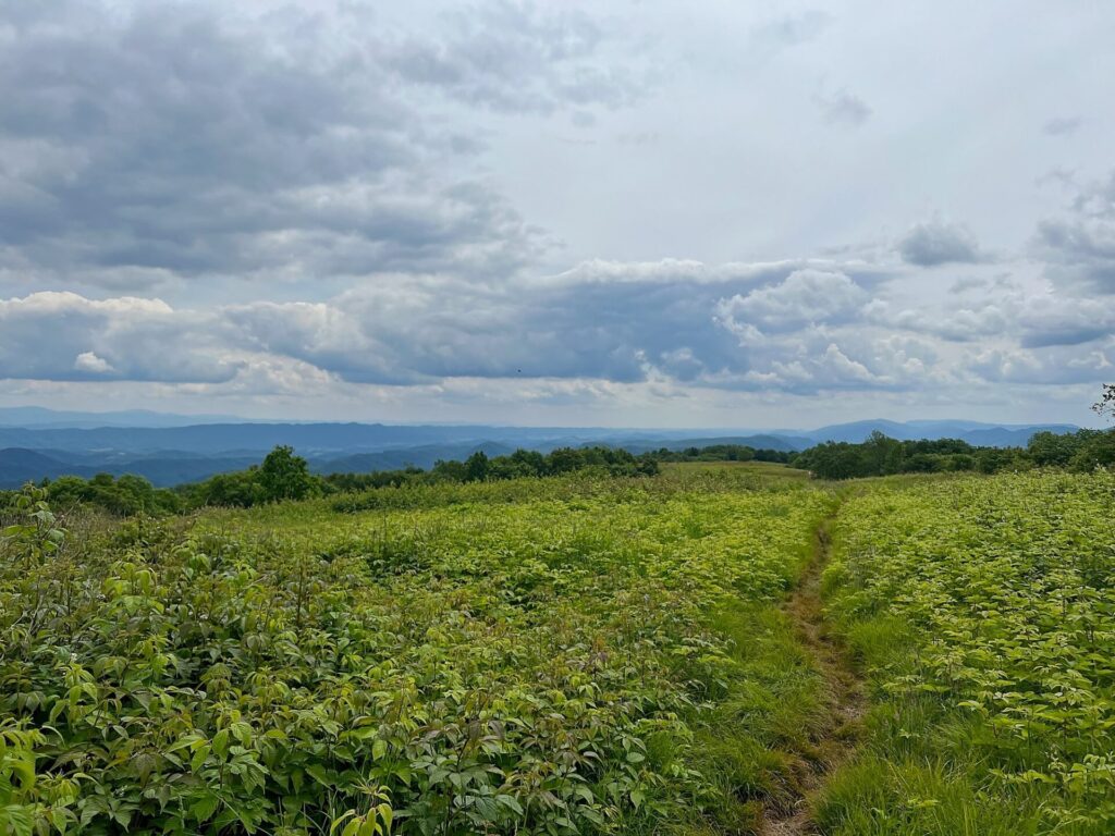 appalachian trail hike The Appalachian Trail in Virginia