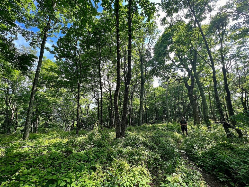 appalachian trail hike Barrett on his Appalachian Trail hike
