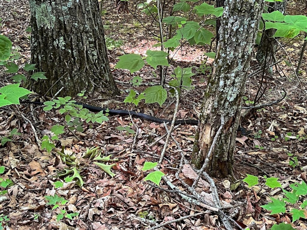 appalachian trail hike