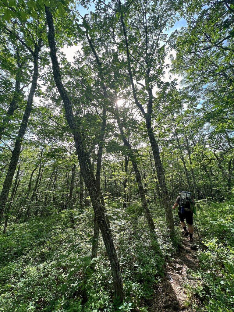 Barrett on his appalachian trail hike