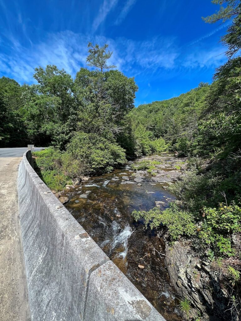 Appalachian Trail Journal Week 13: 800 Miles, Virginia Views & Big Decisions 5 IMG 0439 AT on June 28