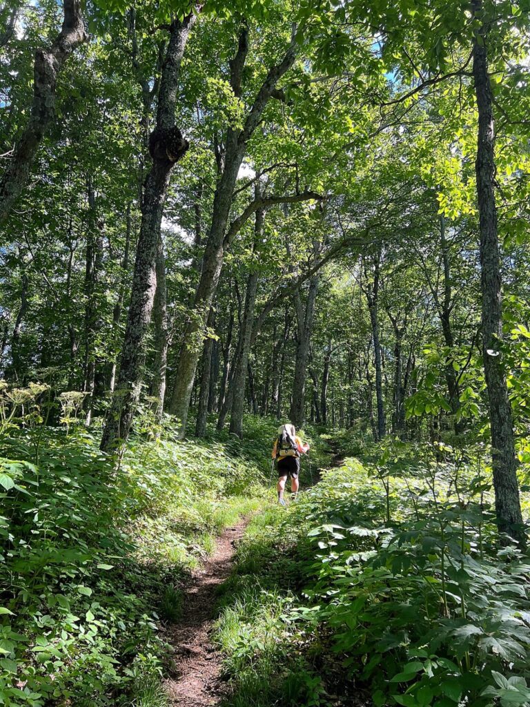 Appalachian Trail Journal Week 13: 800 Miles, Virginia Views & Big Decisions 8 IMG 0454 Barrett on the AT