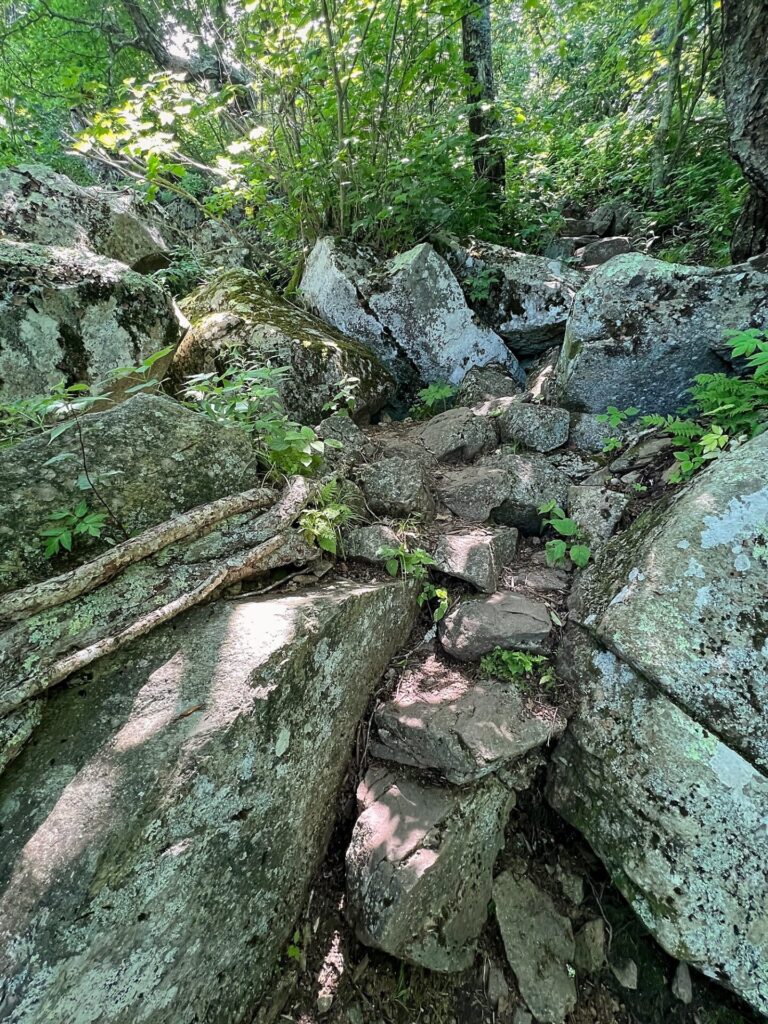 Appalachian Trail Journal Week 13: 800 Miles, Virginia Views & Big Decisions 15 IMG 0511 Rocky Trail