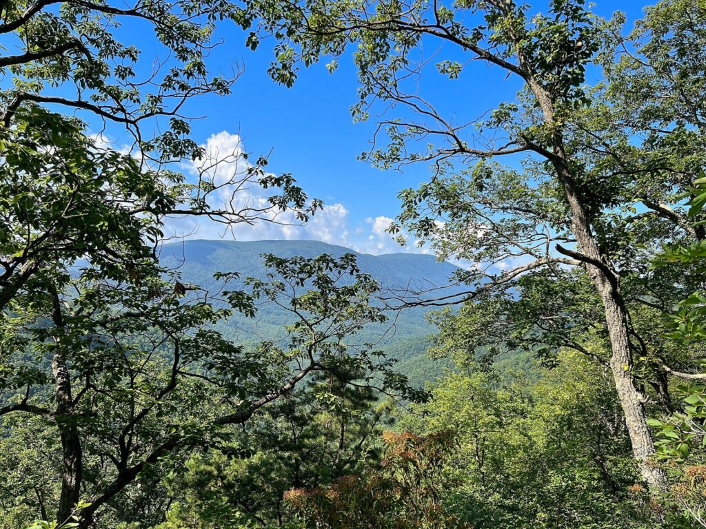 Appalachian Trail Journal Week 13: 800 Miles, Virginia Views & Big Decisions 22 IMG 0617 View on AT