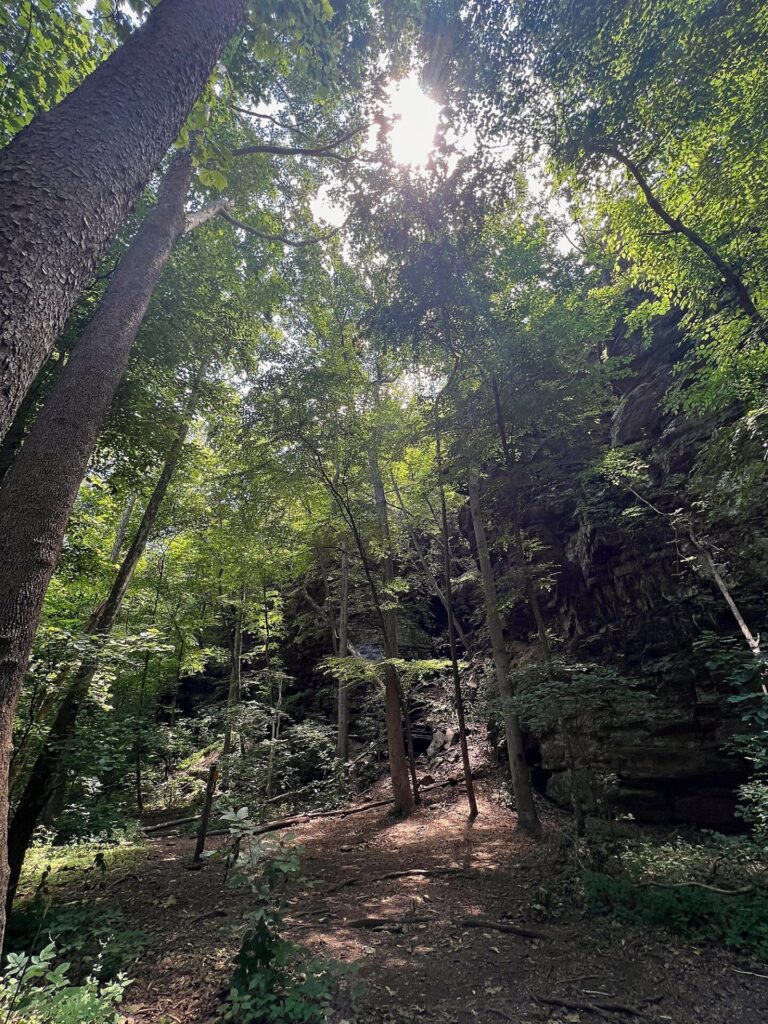 Appalachian Trail Journal Week 13: 800 Miles, Virginia Views & Big Decisions 25 IMG 0629 View along the AT