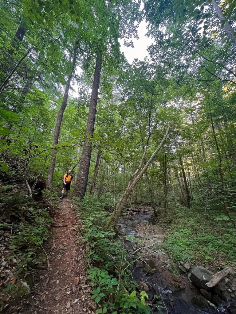 Appalachian Trail Journal Week 13: 800 Miles, Virginia Views & Big Decisions 35 IMG 0697 Barrett on AT