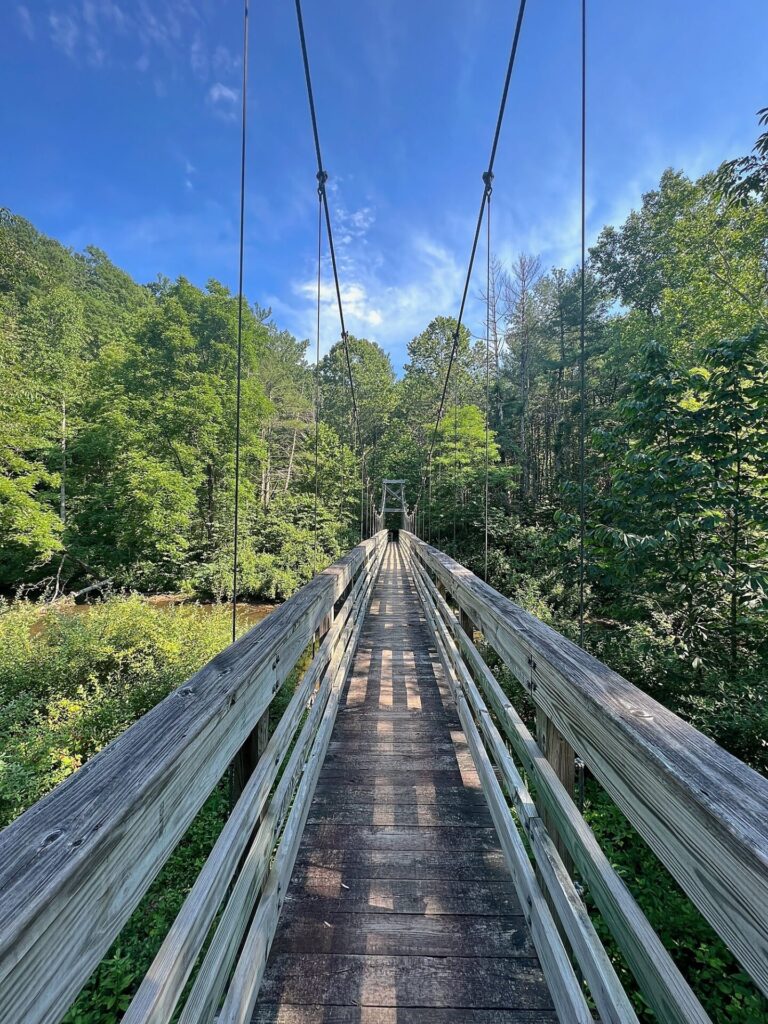 Appalachian Trail Journal Week 13: 800 Miles, Virginia Views & Big Decisions 36 IMG 0703 Footbridge on the AT