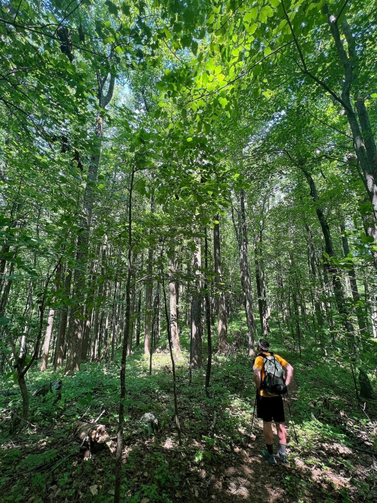 Appalachian Trail Journal Week 13: 800 Miles, Virginia Views & Big Decisions 38 IMG 0714 Barrett on the AT