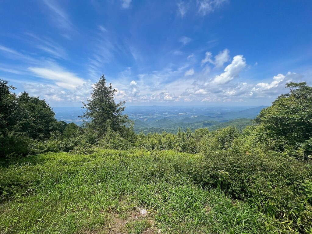 Appalachian Trail Journal Week 13: 800 Miles, Virginia Views & Big Decisions 42 IMG 0730 AT in VA